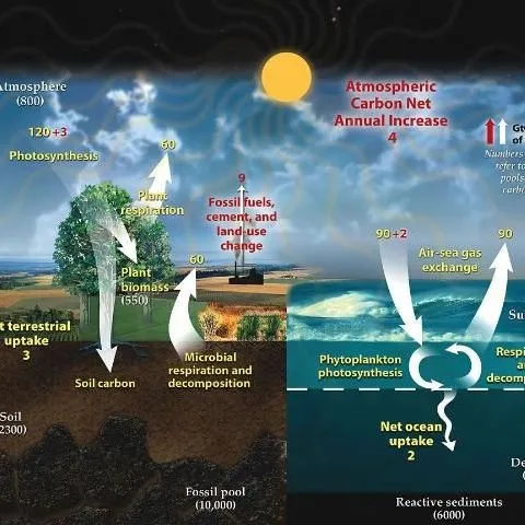 thumbnail for publication: Climate Change and Florida: Frequently Asked Questions